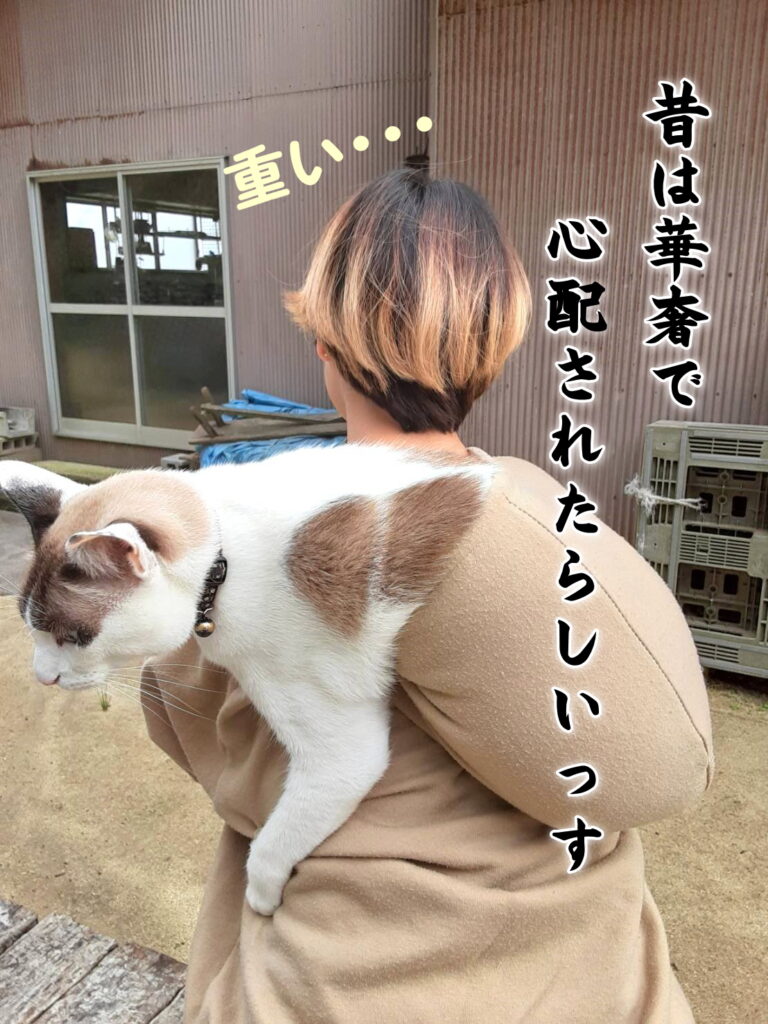 よもぎ