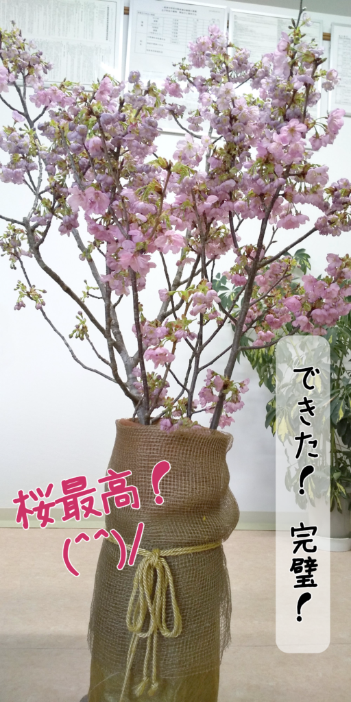 ミッション桜