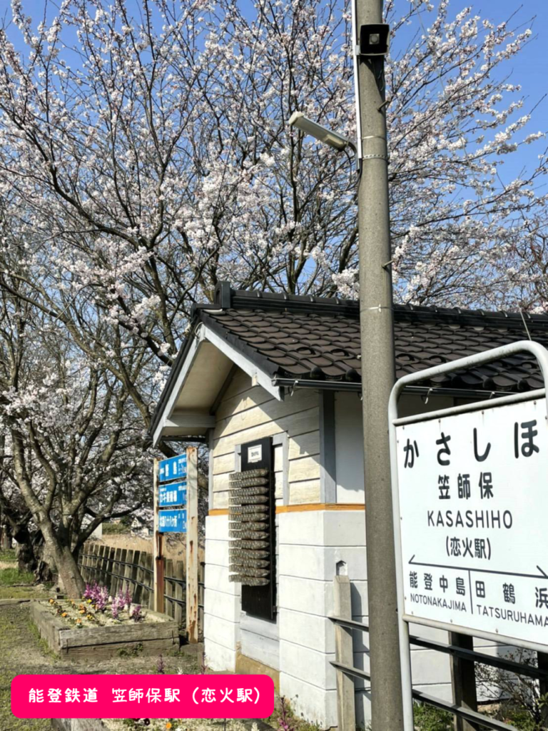 笠師保桜