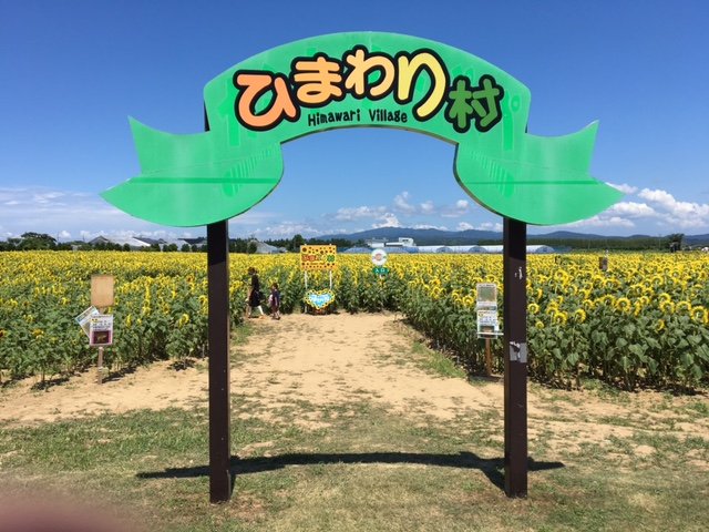 ひまわり村