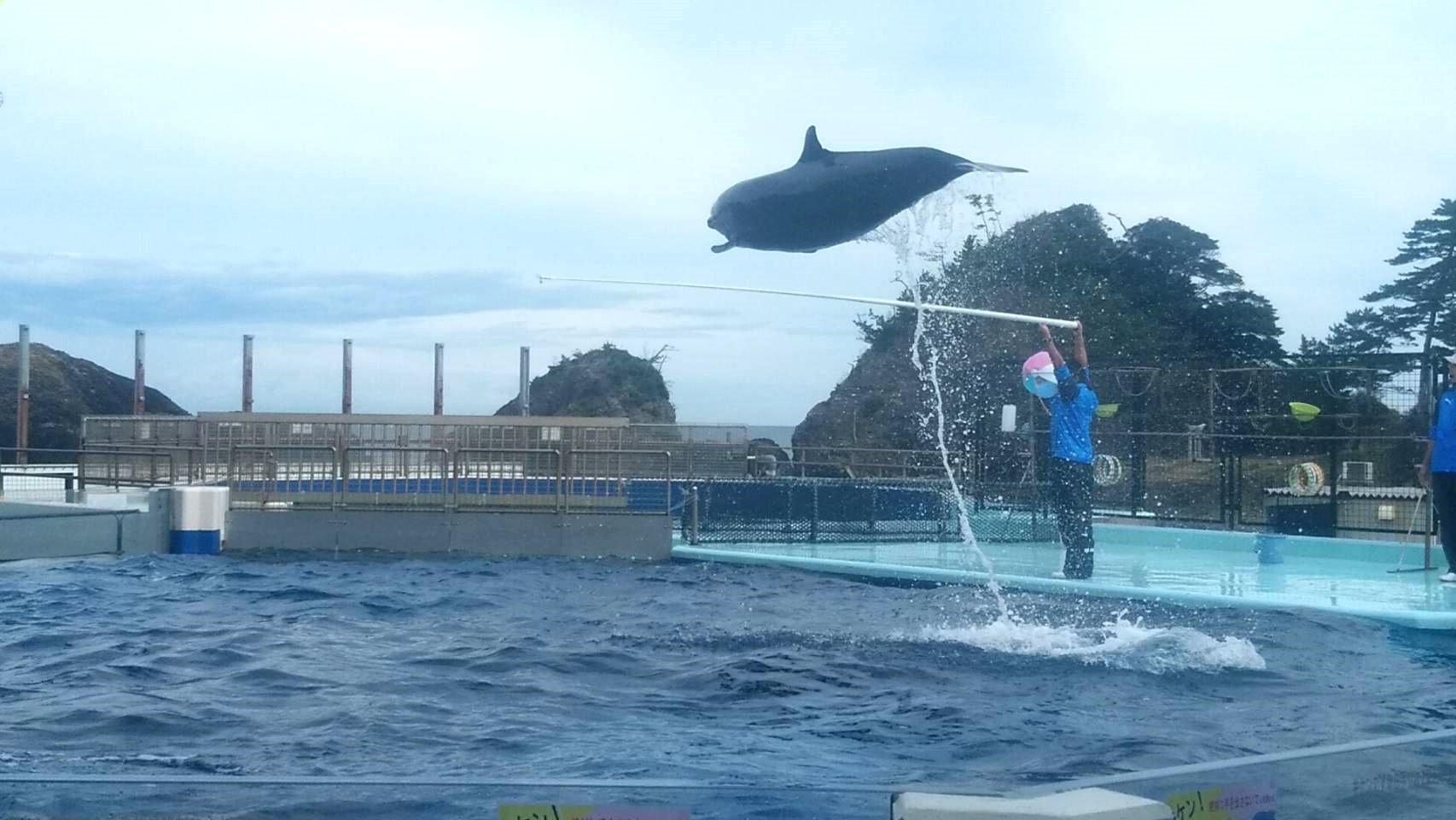 松島水族館