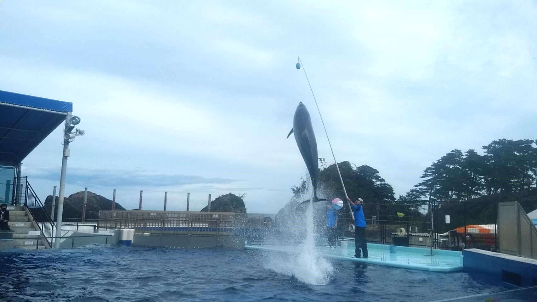 松島水族館