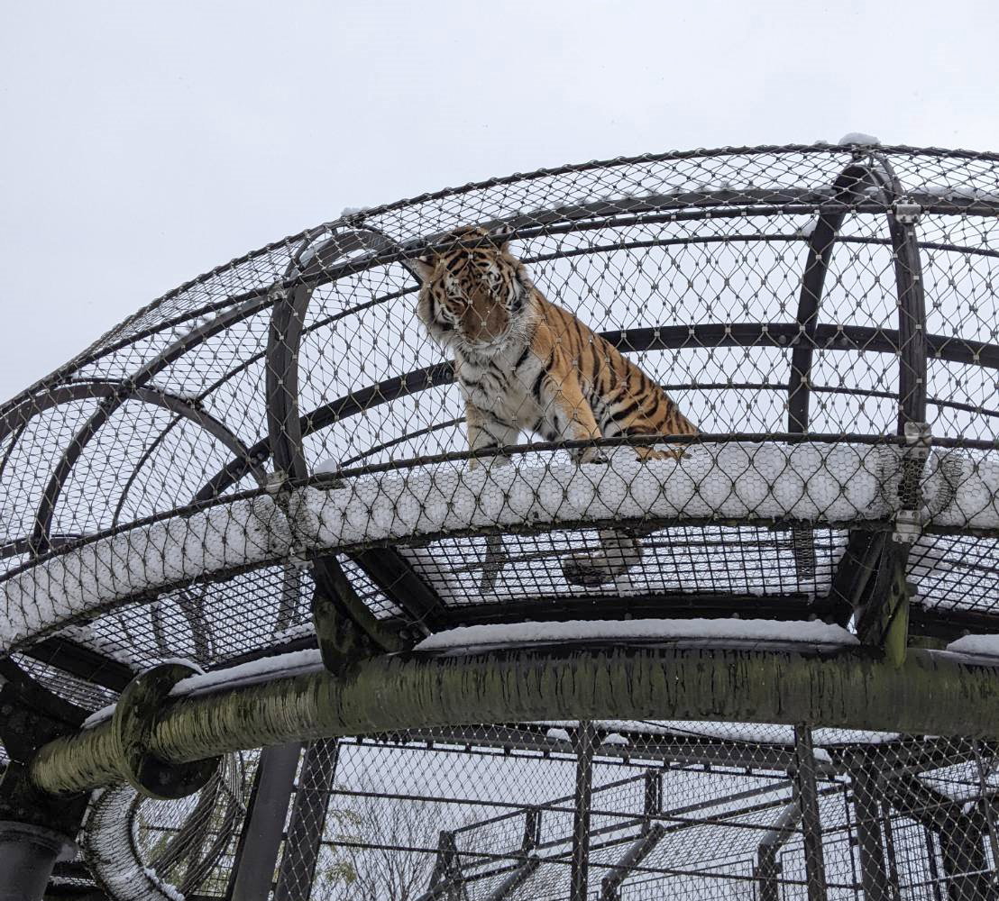 動物園