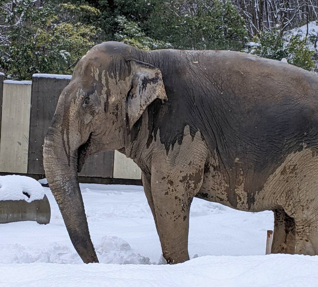 動物園