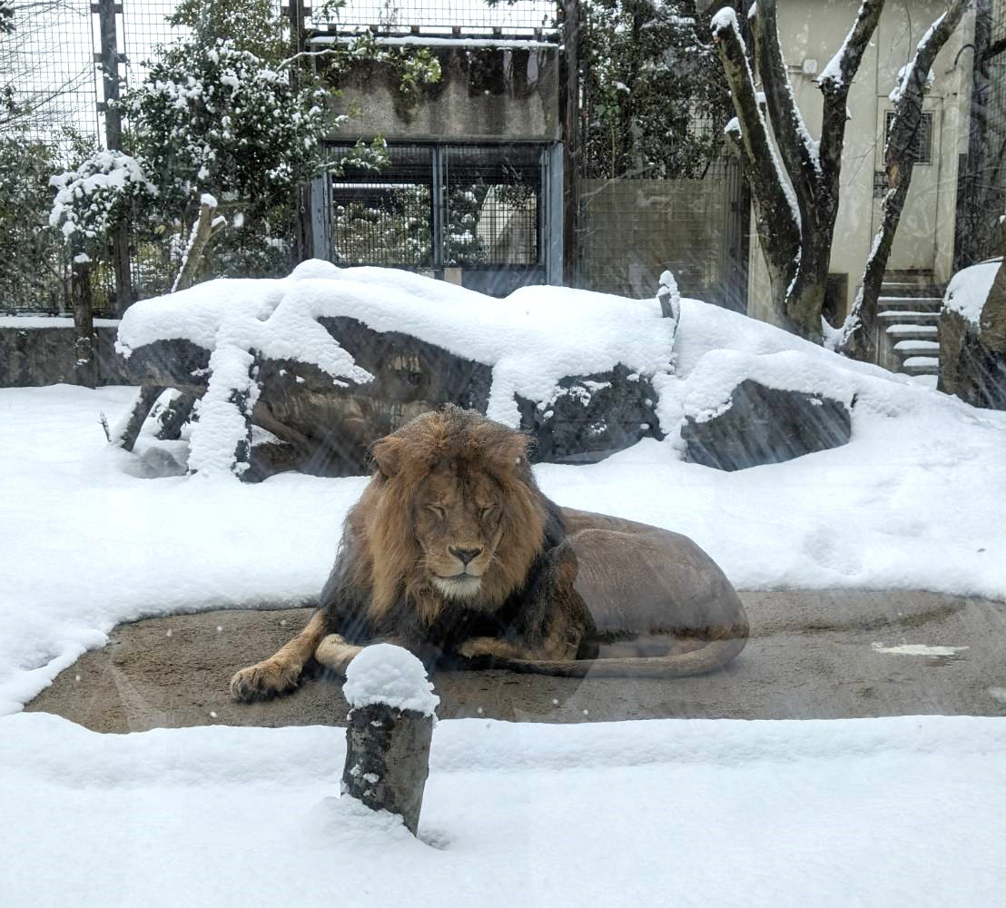 動物園