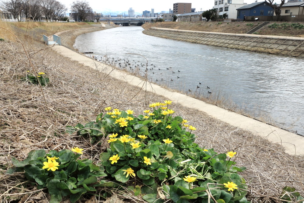 浅野川