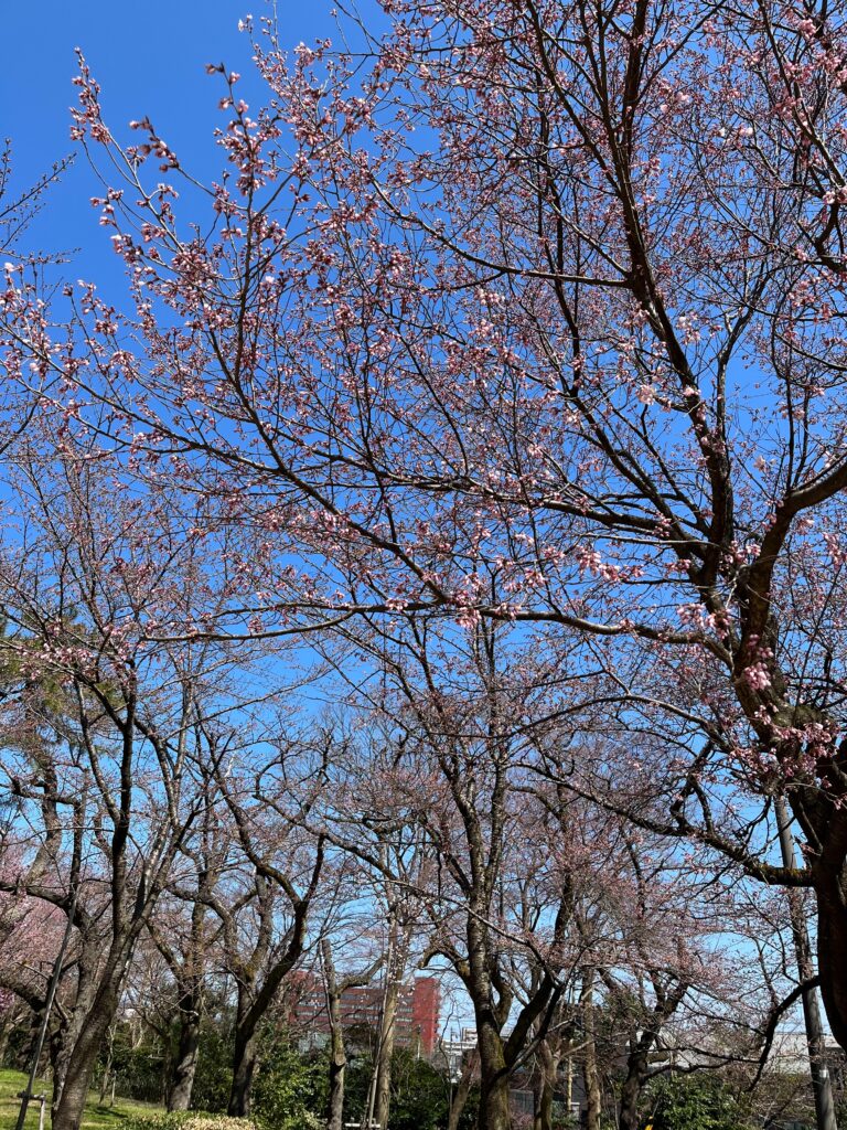 高岡古城公園