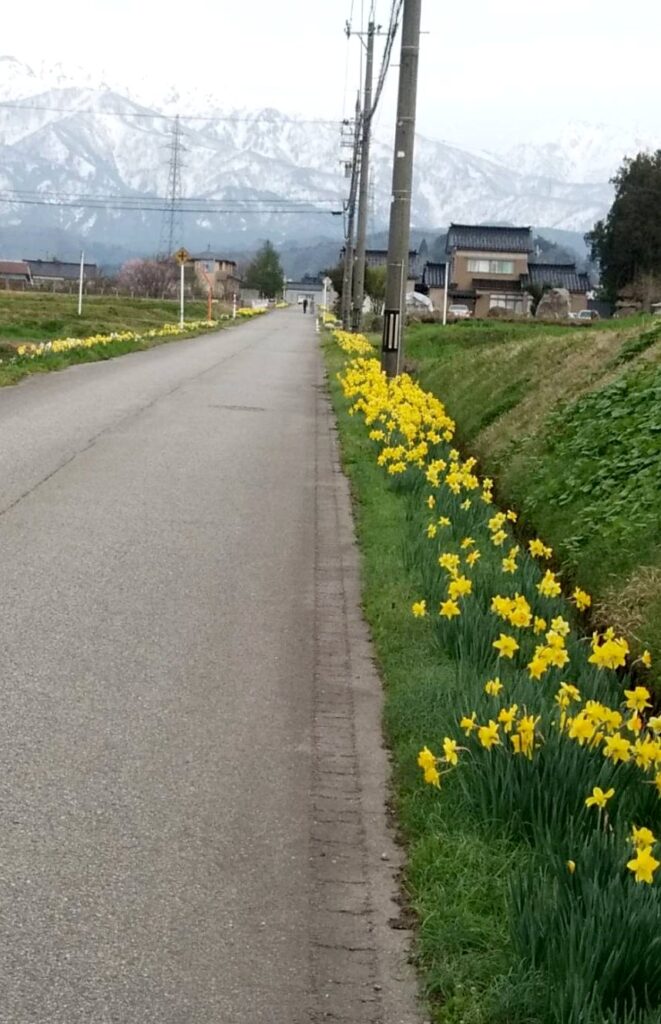 天神山ガーデン