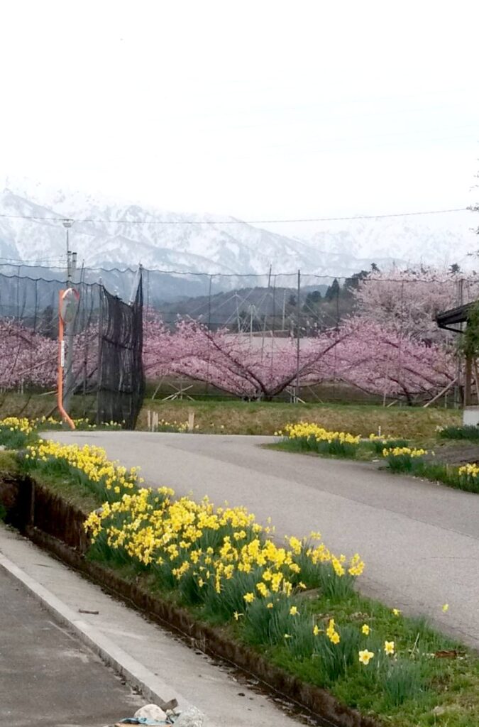 天神山ガーデン