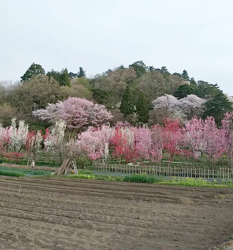 天神山ガーデン