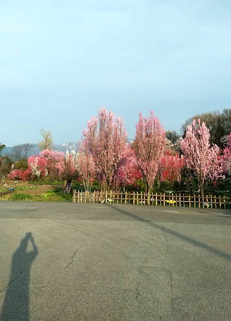 天神山ガーデン