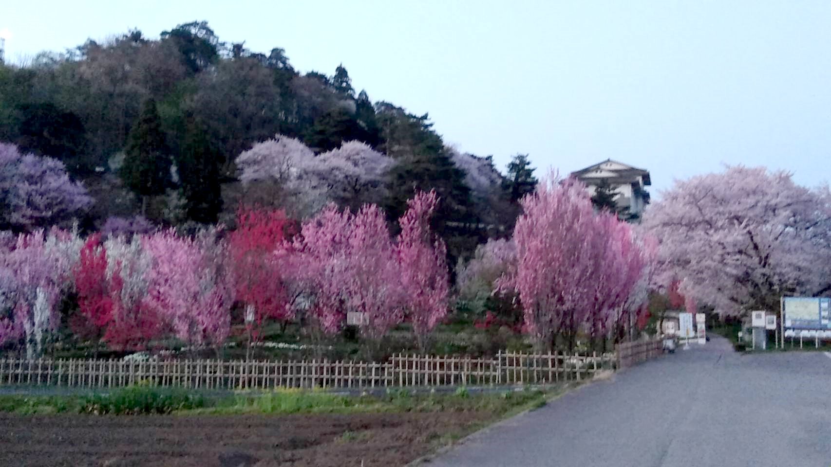 天神山ガーデン