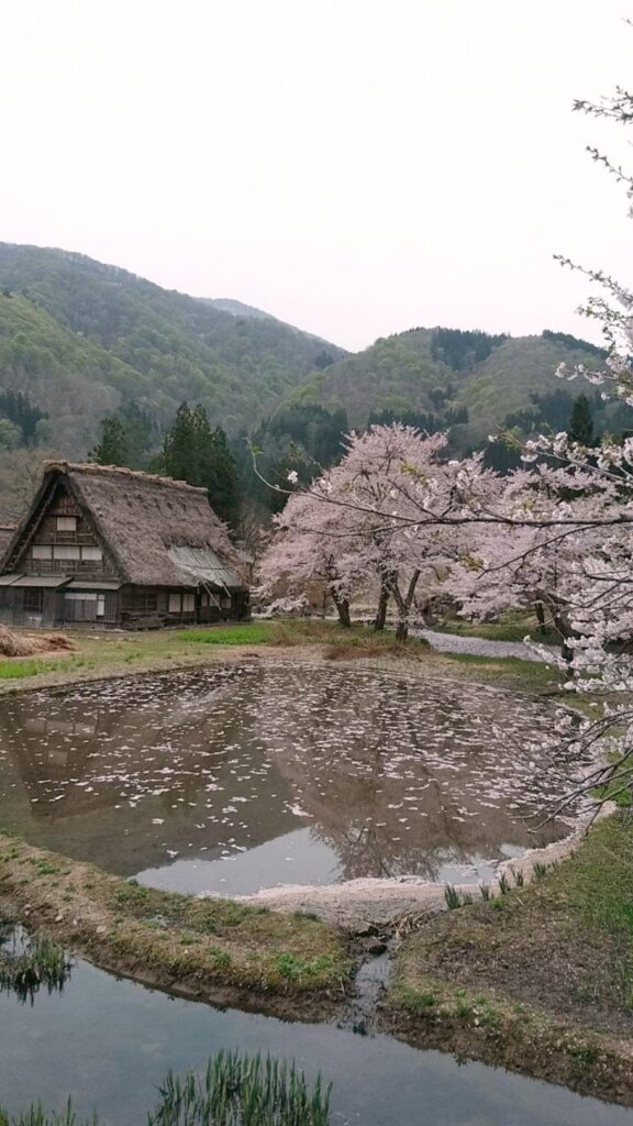 白川郷