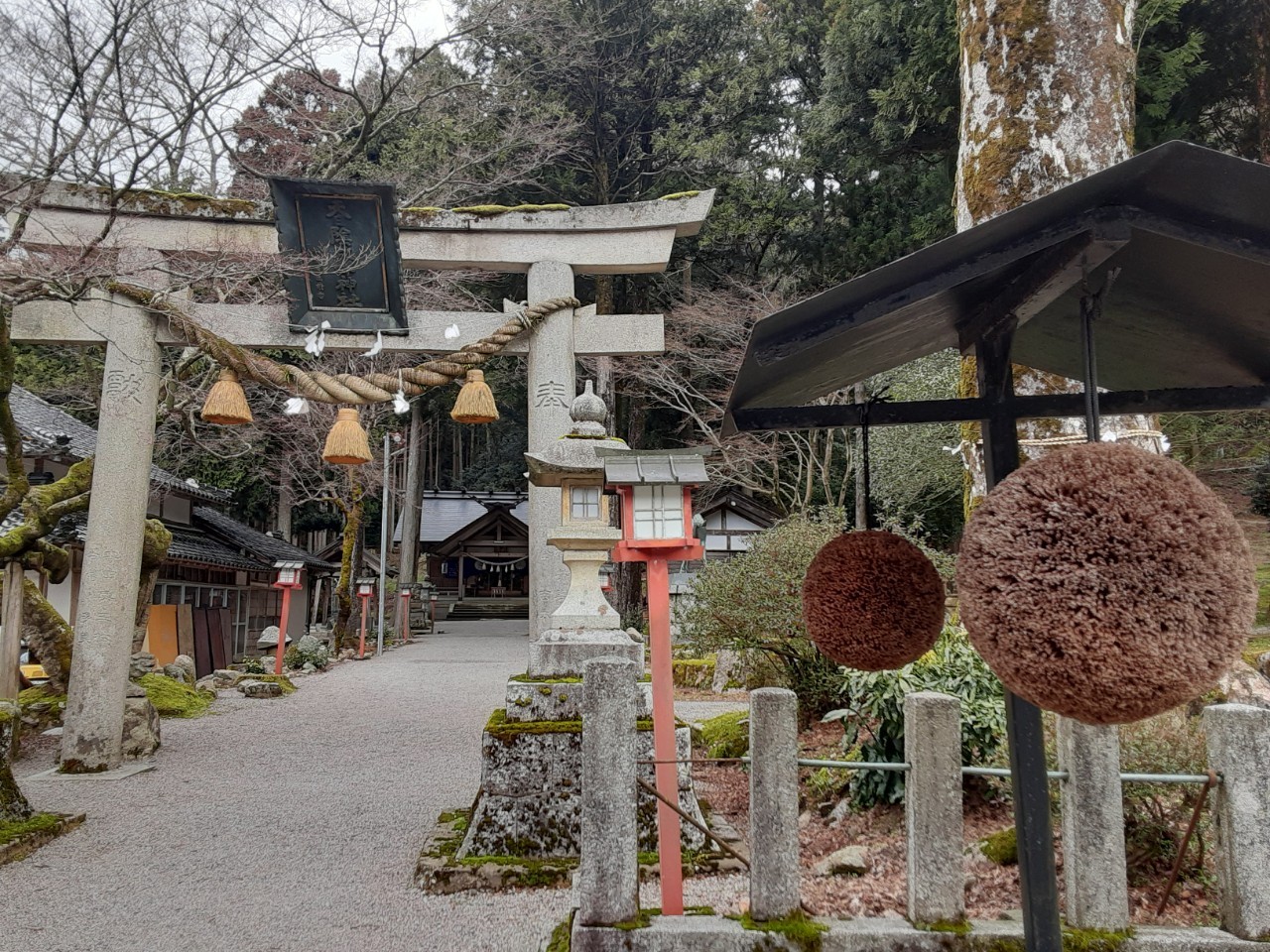 天日陰比咩神社