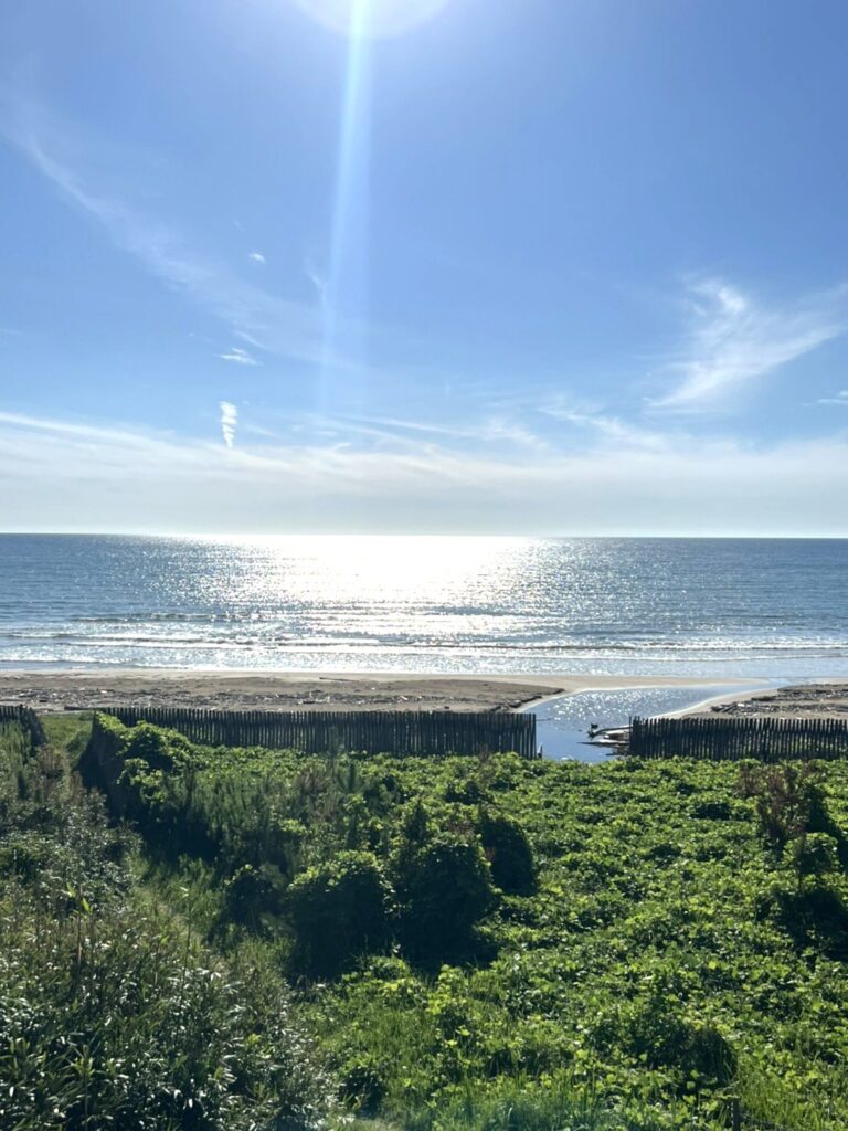 千鳥ヶ浜