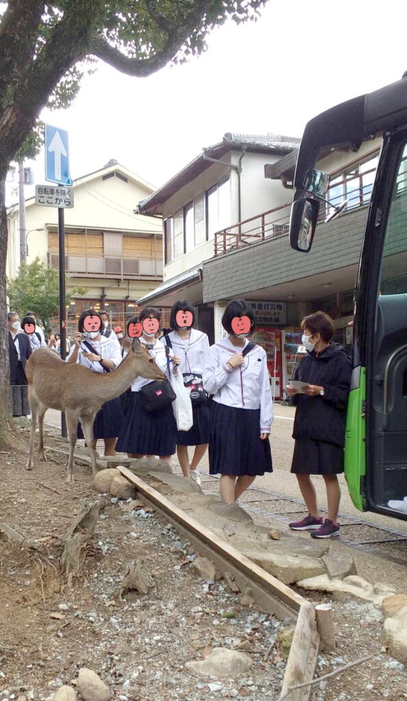 奈良公園