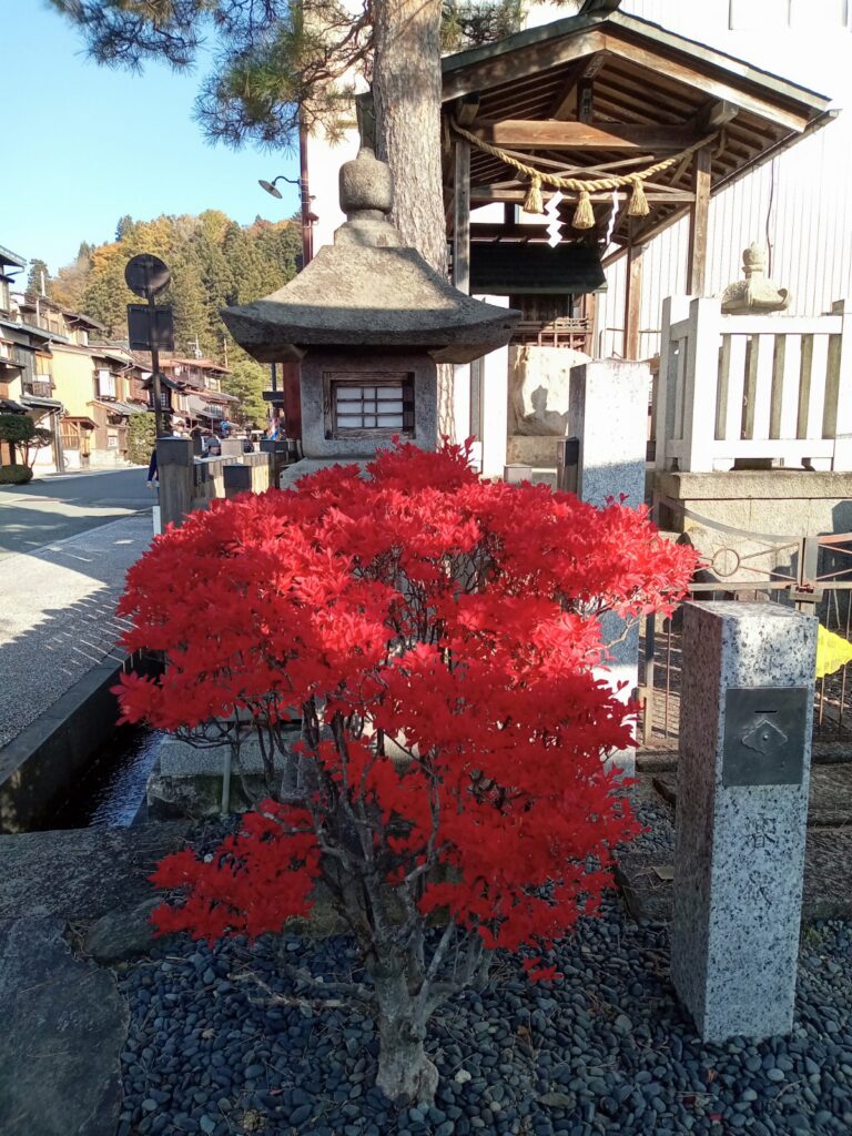 白川郷