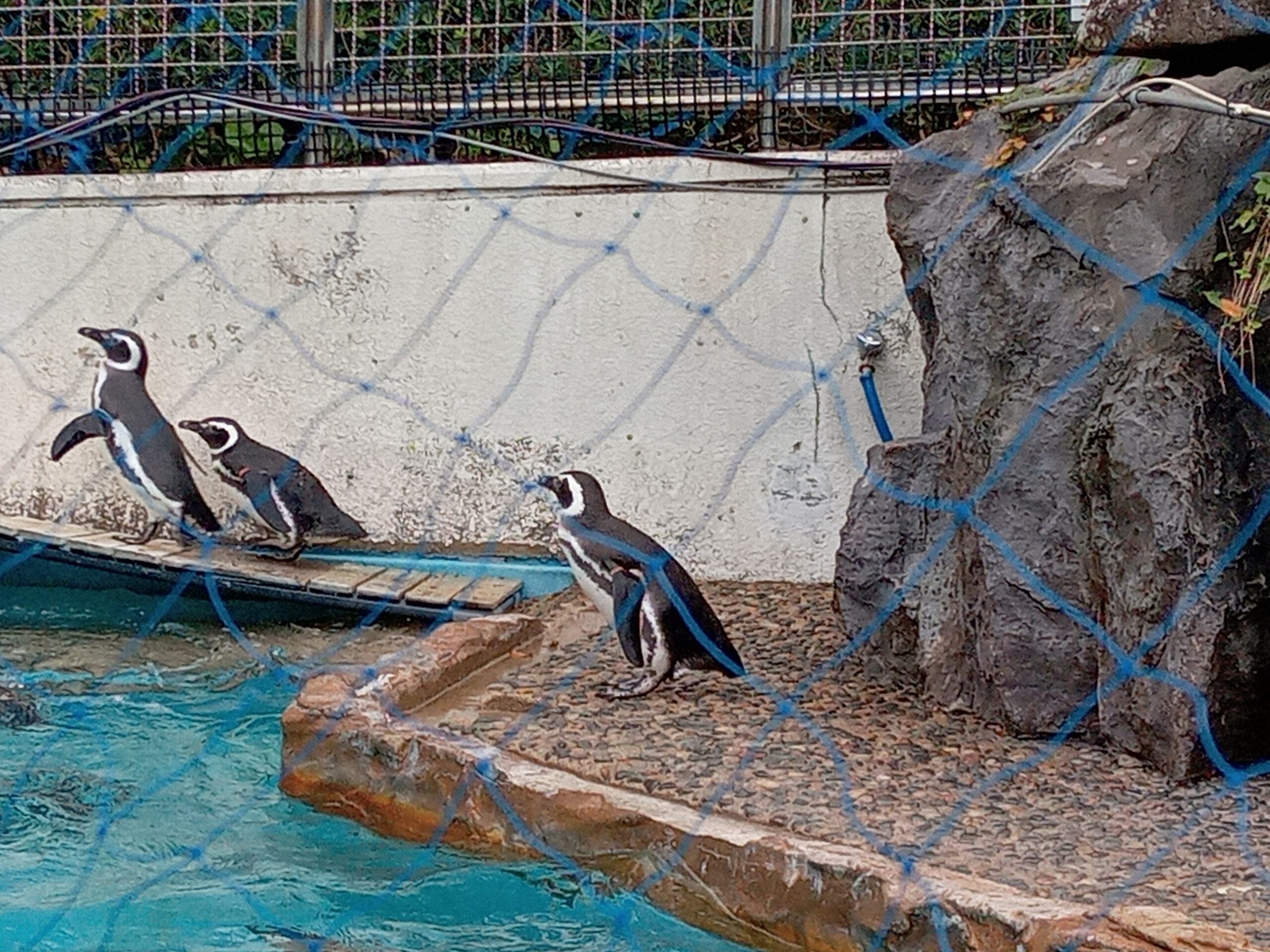 のとじま水族館