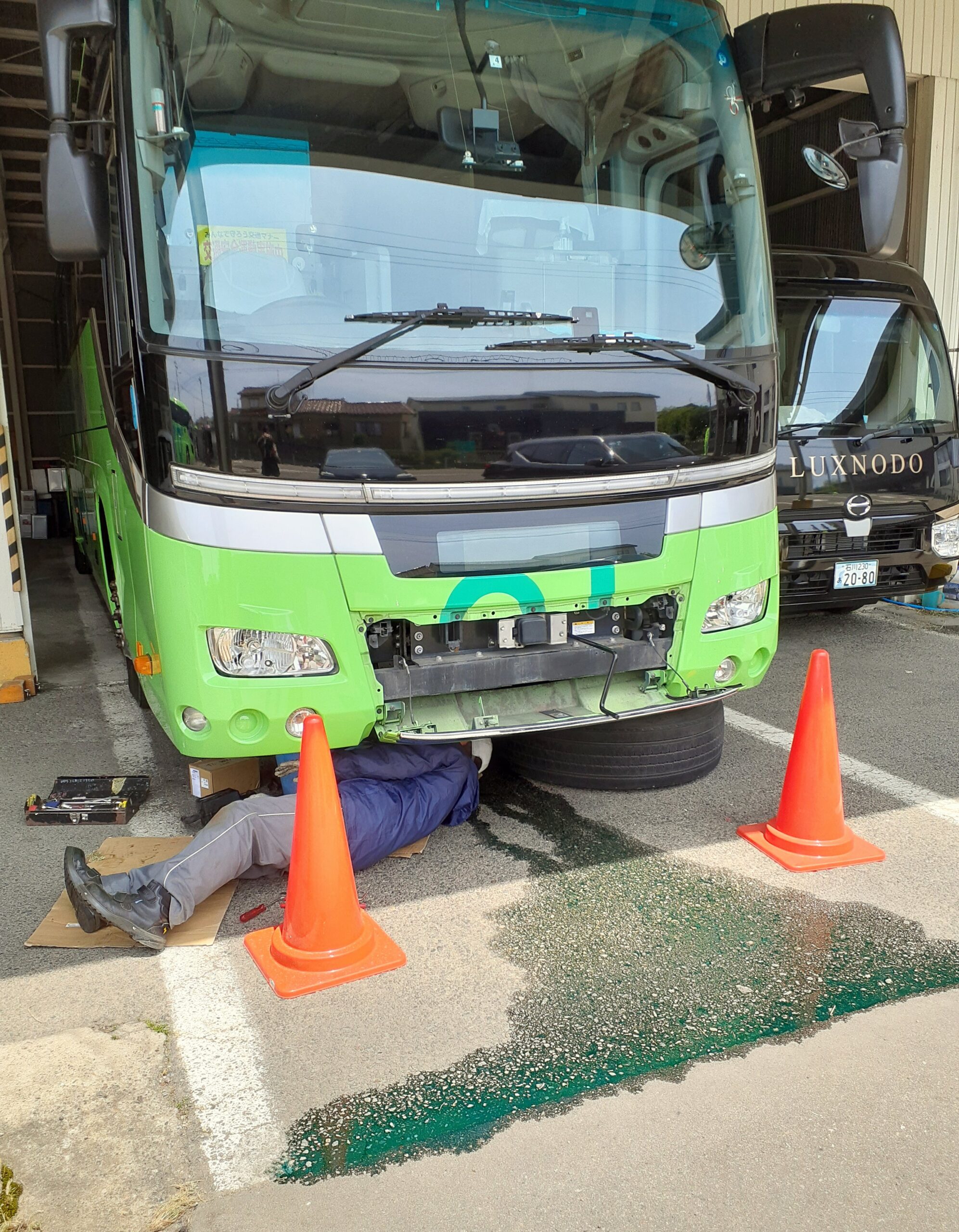 みどり色の (ﾟдﾟ)！ | 金沢・富山発！東京ディズニーランド®️直通