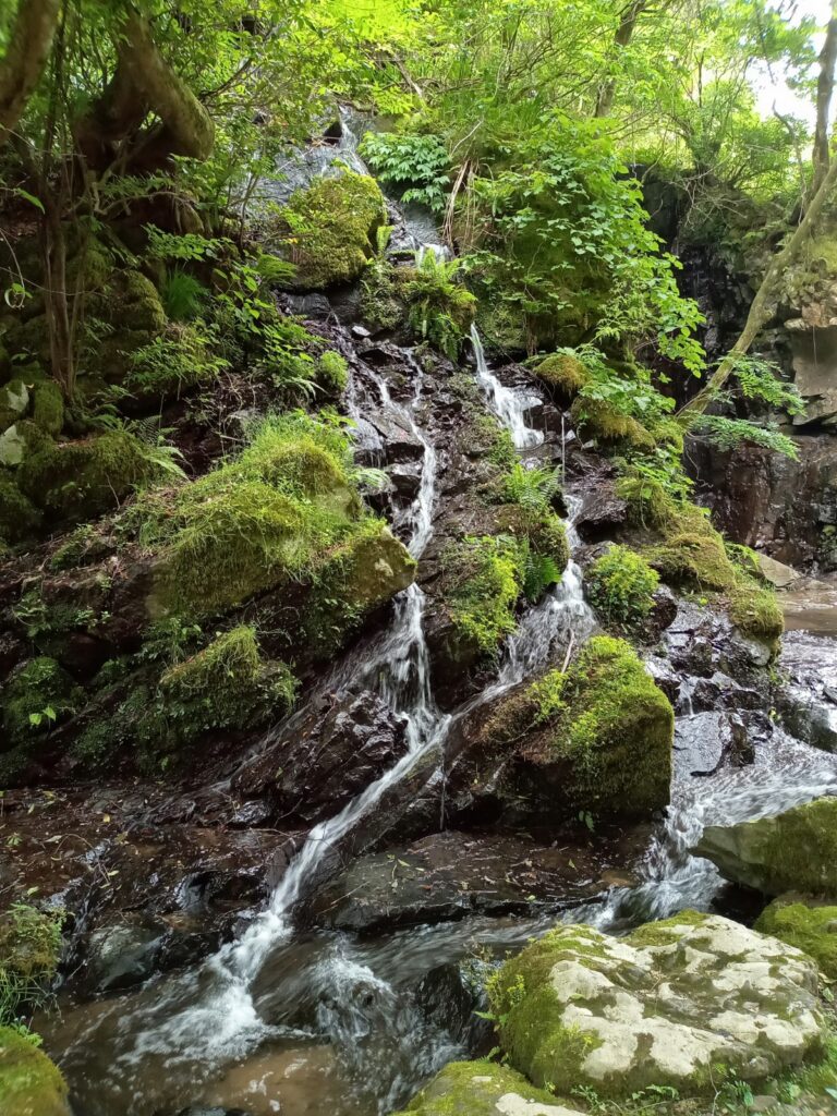 玲瀧の滝