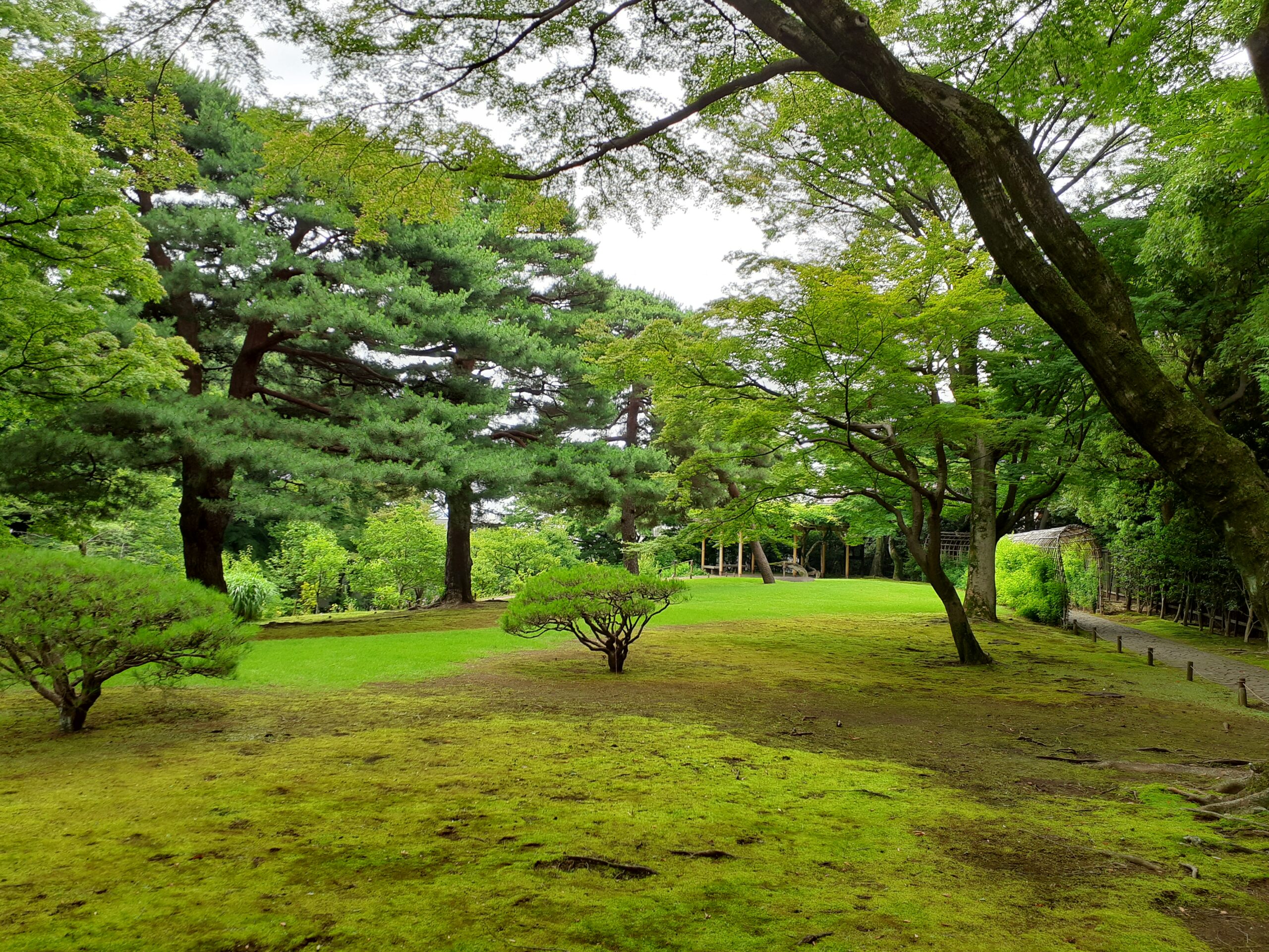 殿ヶ谷戸庭園