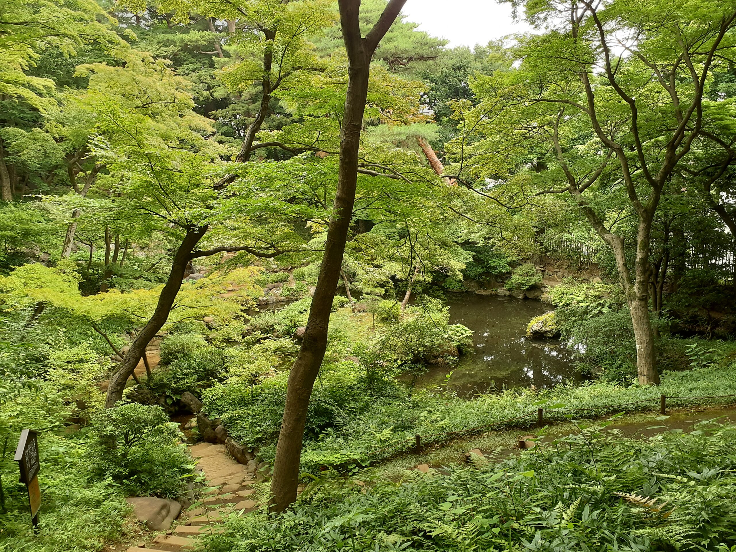 殿ヶ谷戸庭園