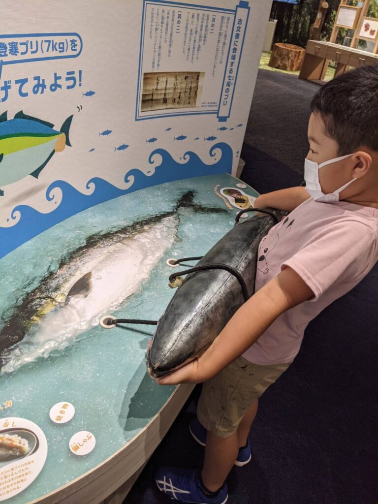 のと里山里海ミュージアム