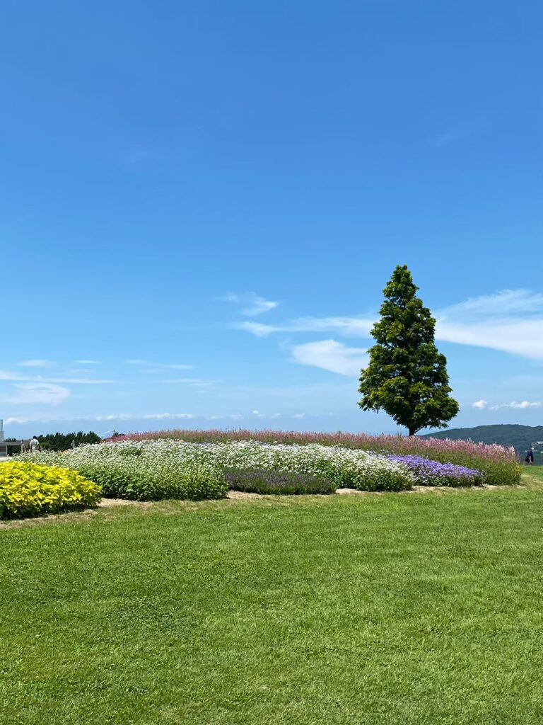 兵庫県立公園 あわじ花さじき