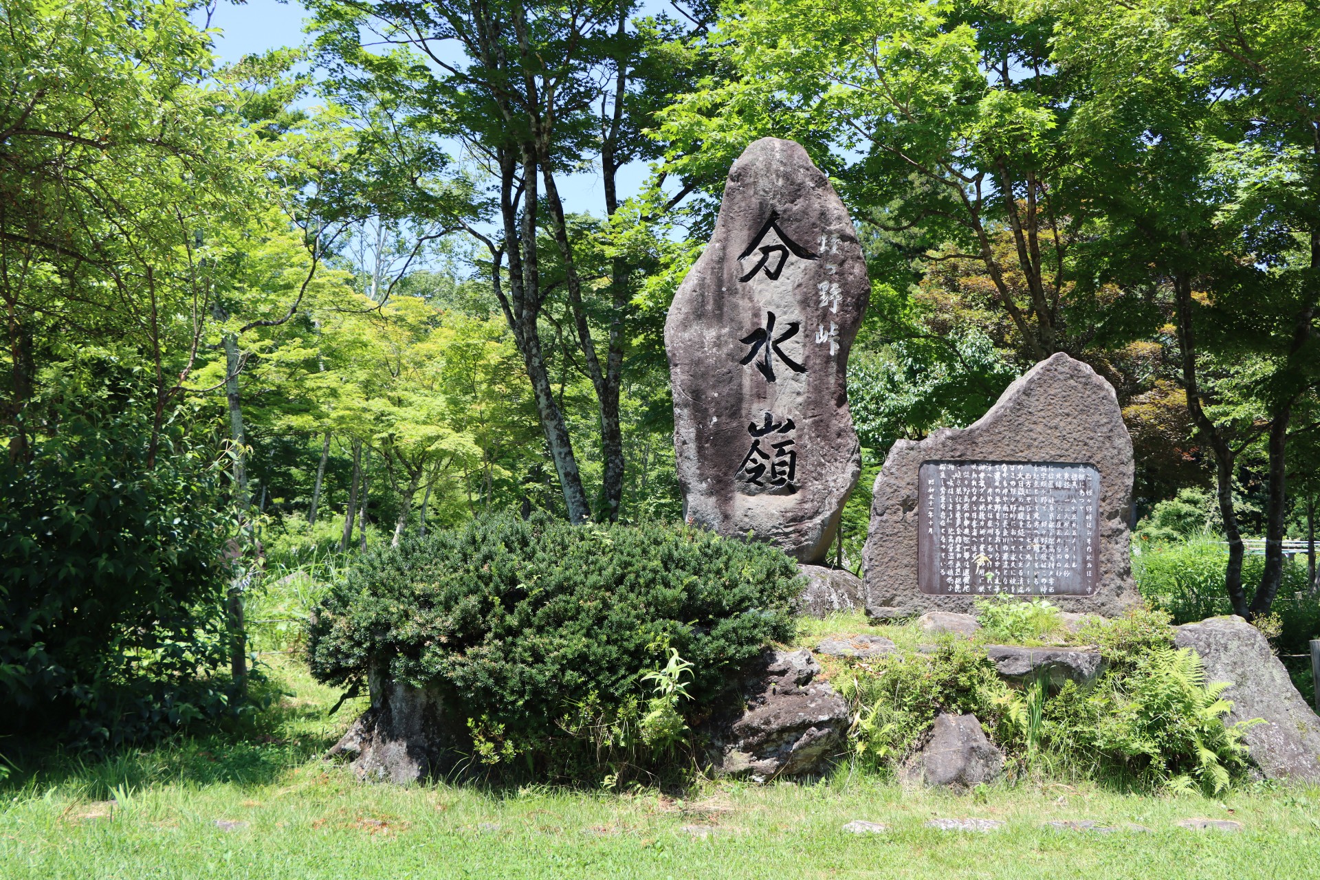 ひるがの分水嶺公園