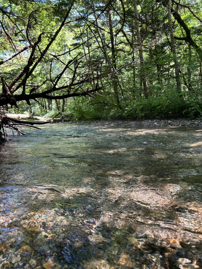 上高地