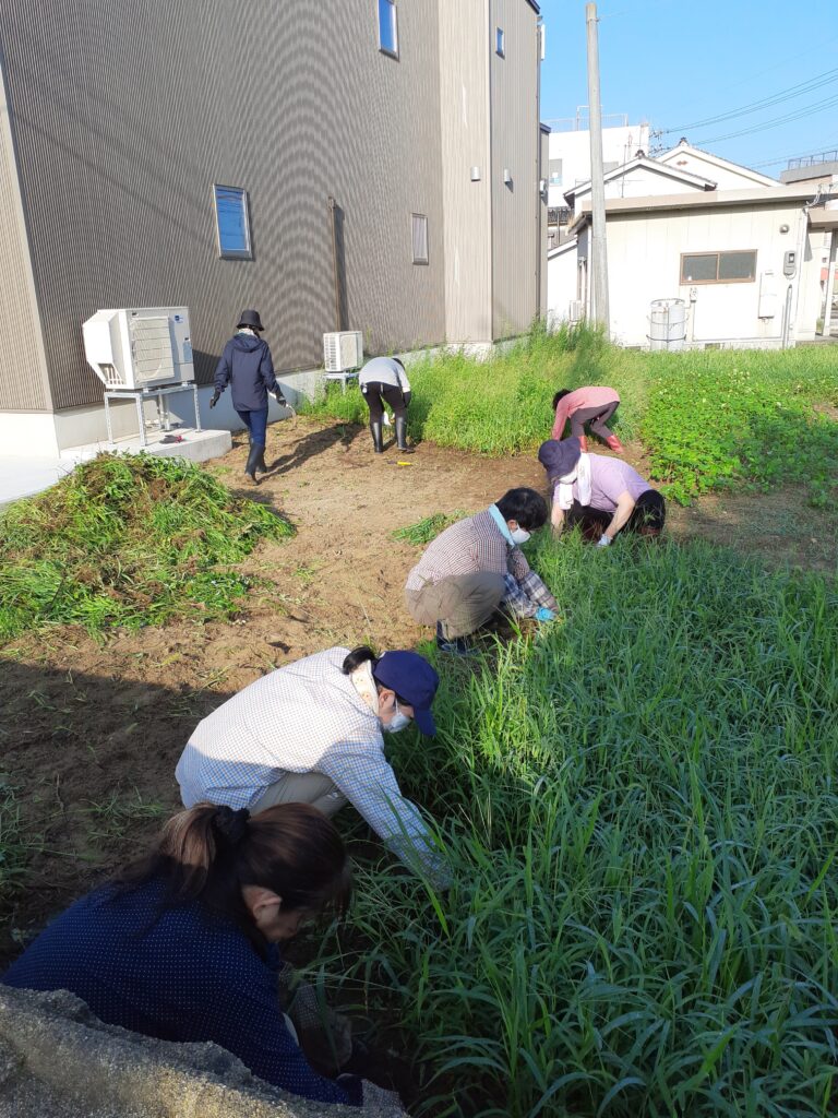 そばの花畑