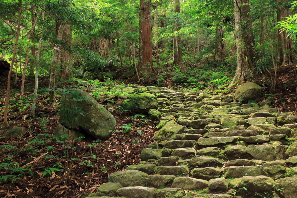 熊野古道