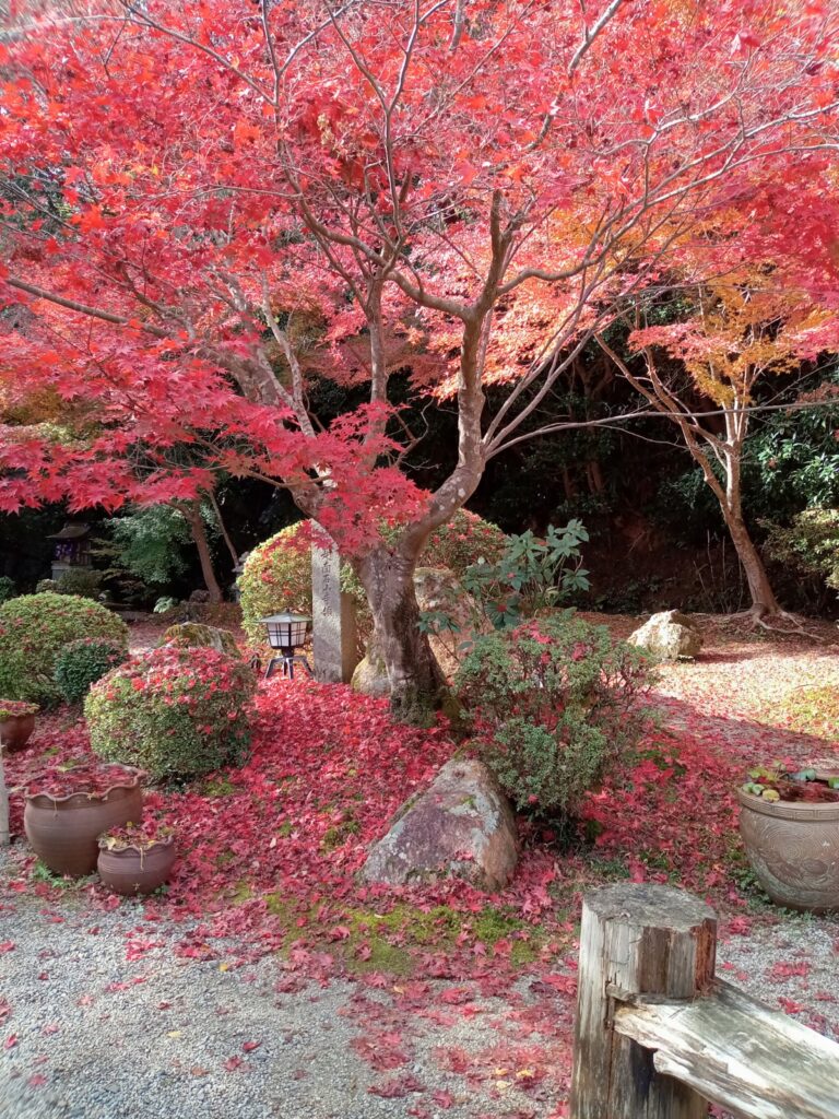 石山寺