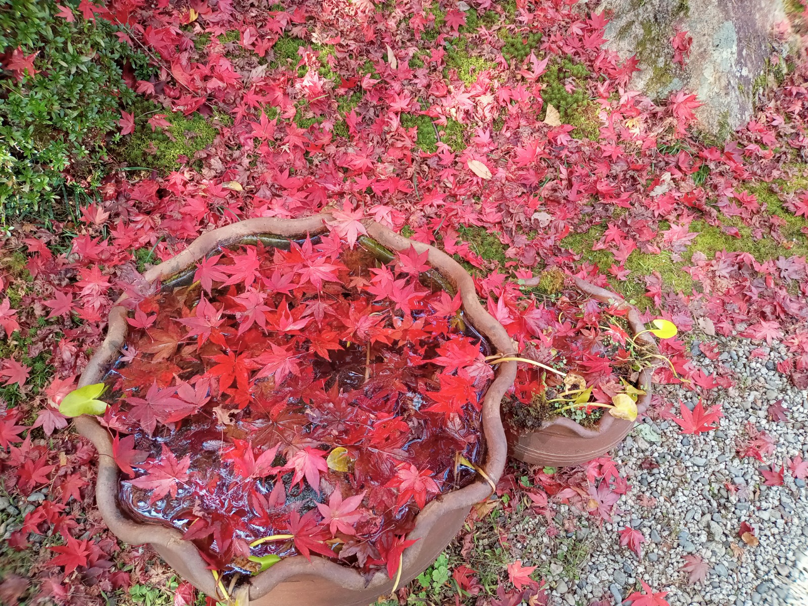 石山寺