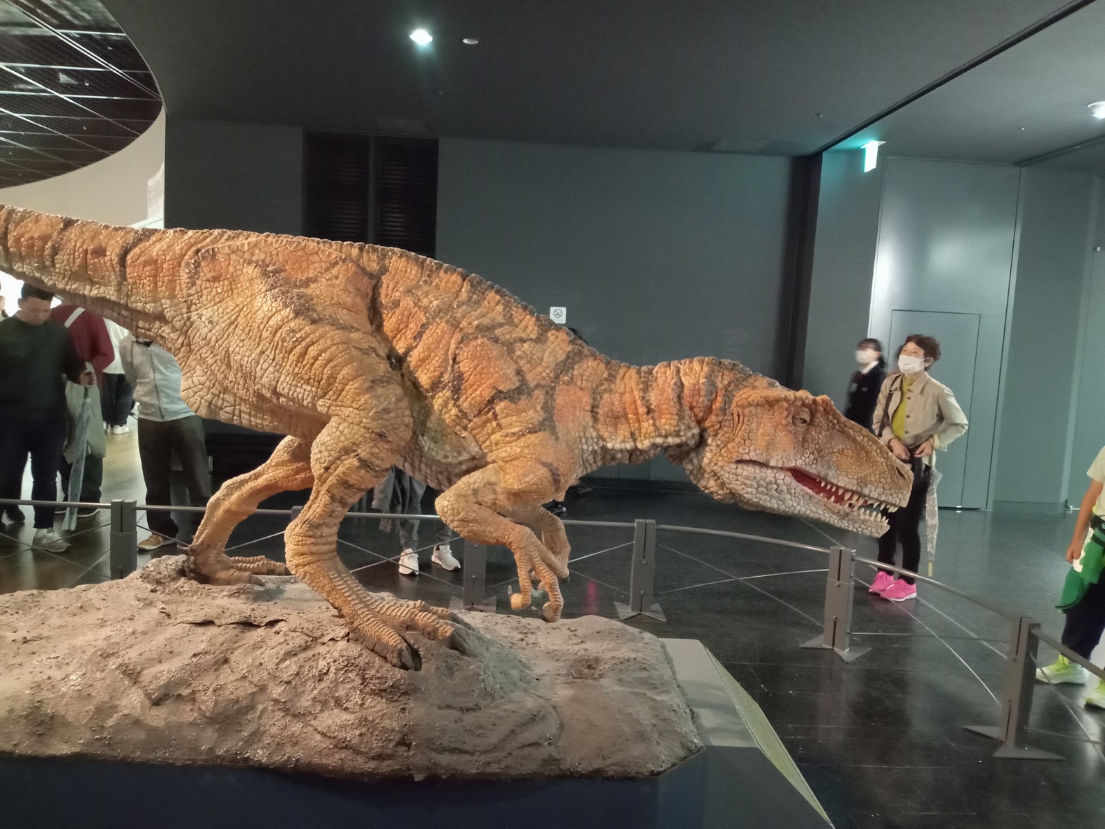 福井県立恐竜博物館