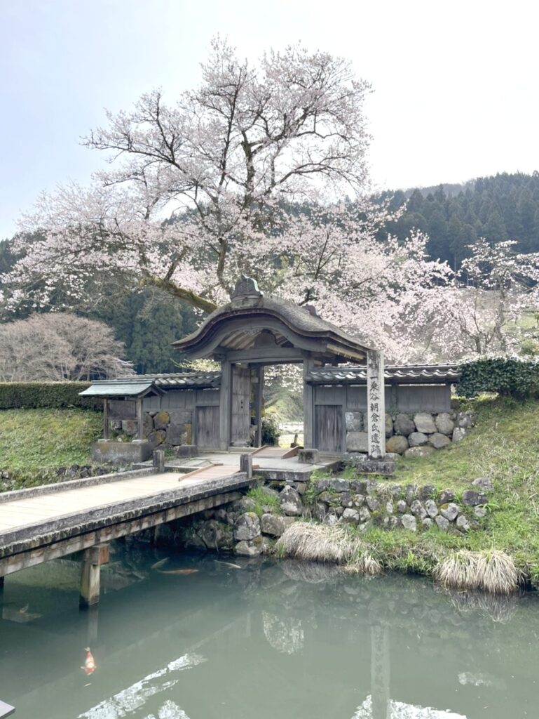 一乗谷朝倉氏遺跡