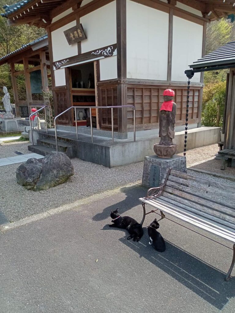 猫寺