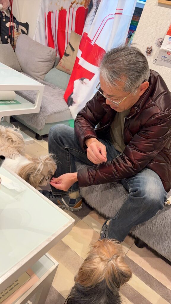 ドッグカフェ