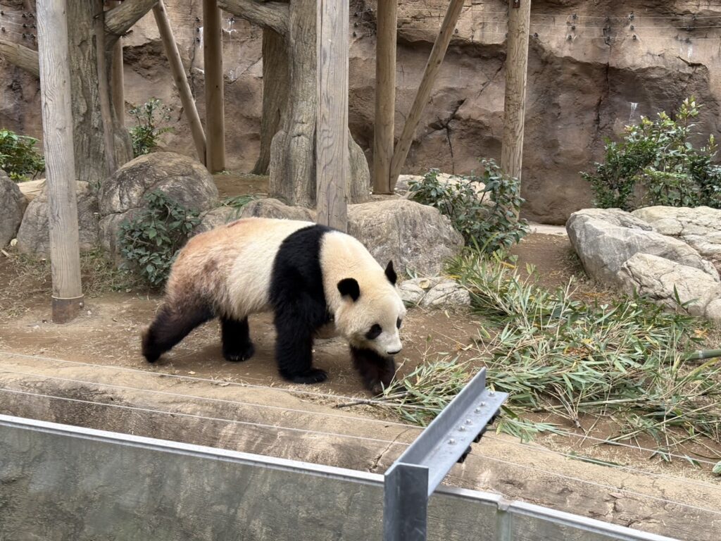 上野動物園