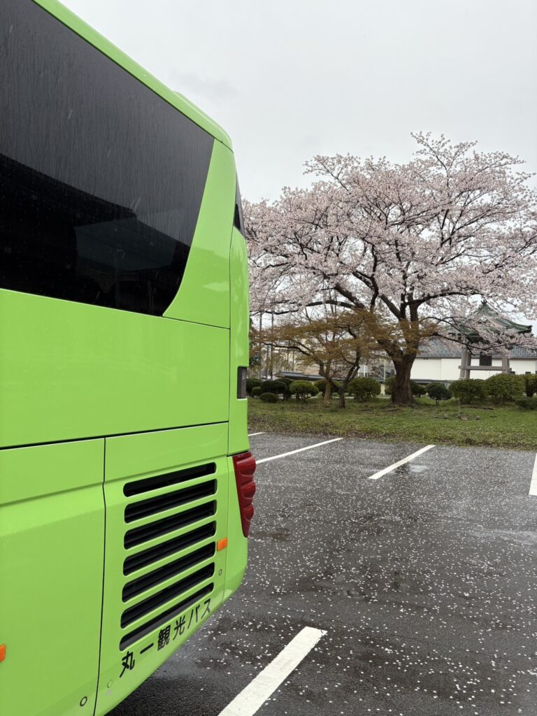 花散らしの雨