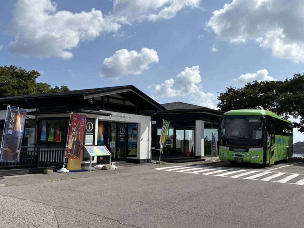 小さな訪問者🐸